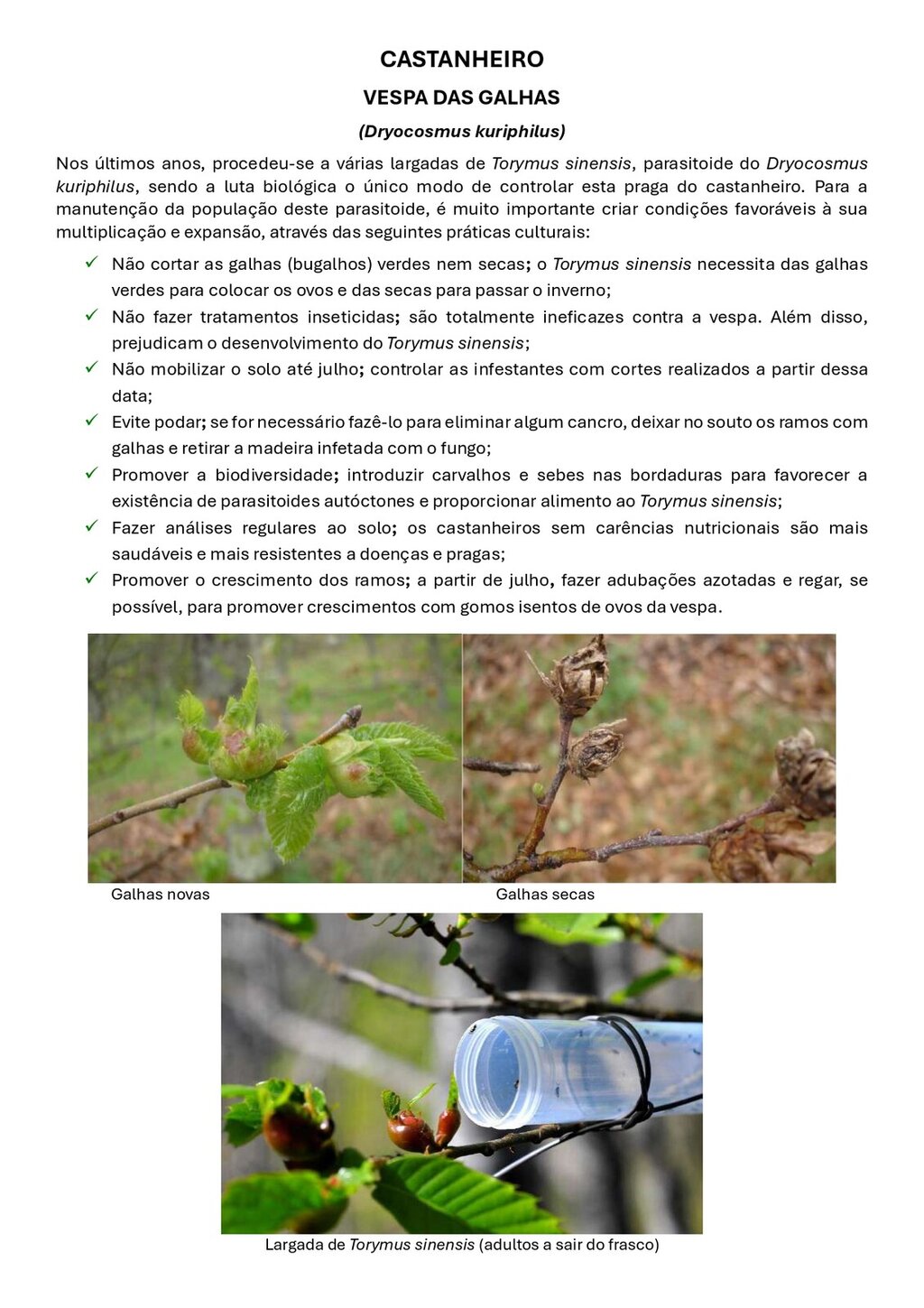Circular EAD 06-26_page-0002