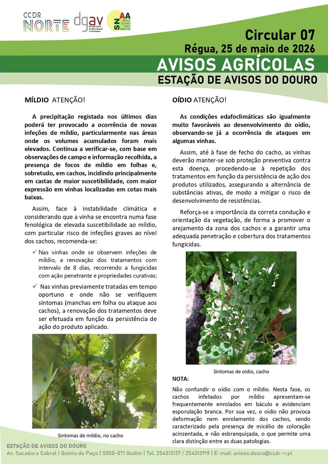 Circular EAD 07-26_page-0001