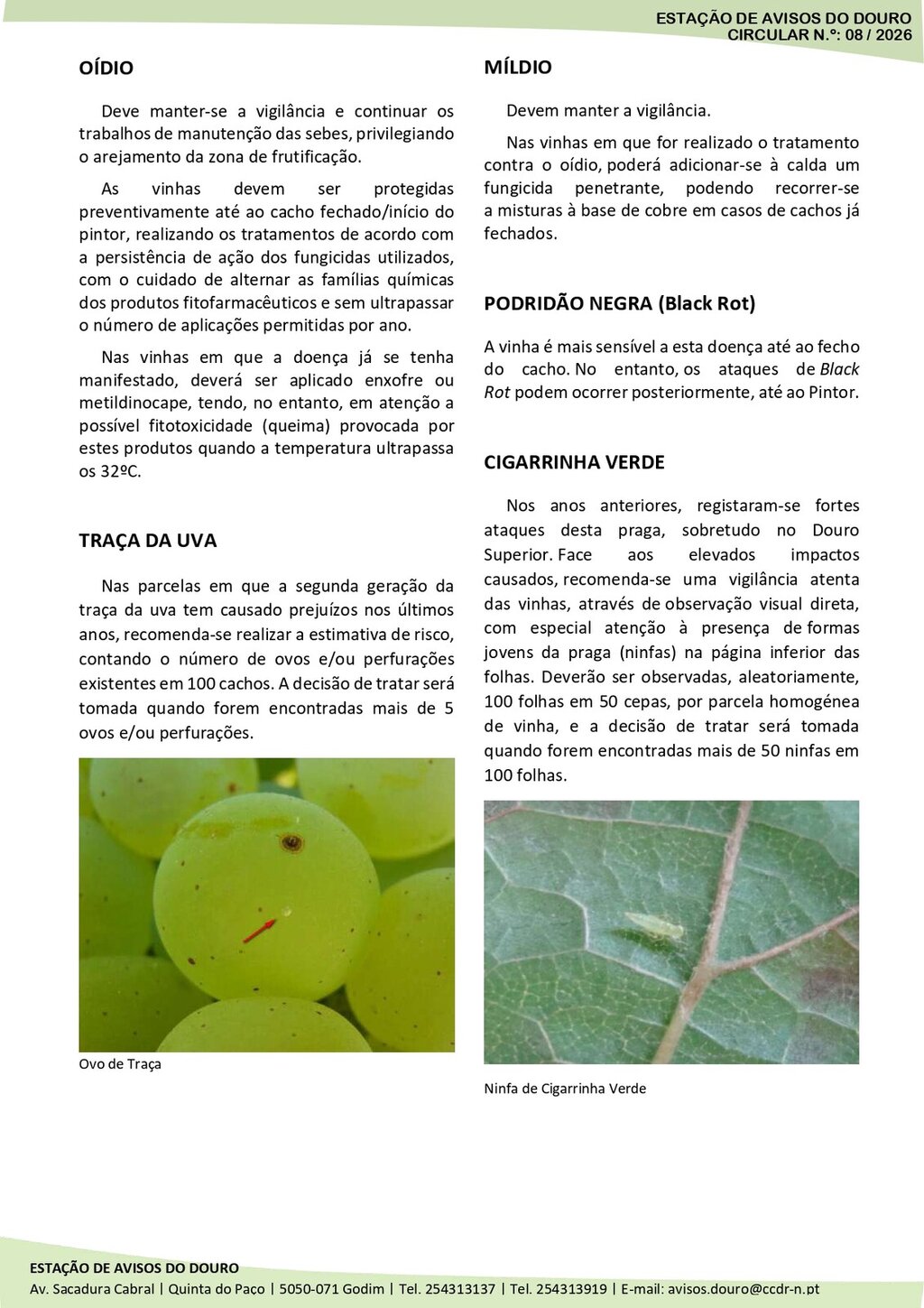 Circular EAD 08-26_page-0002