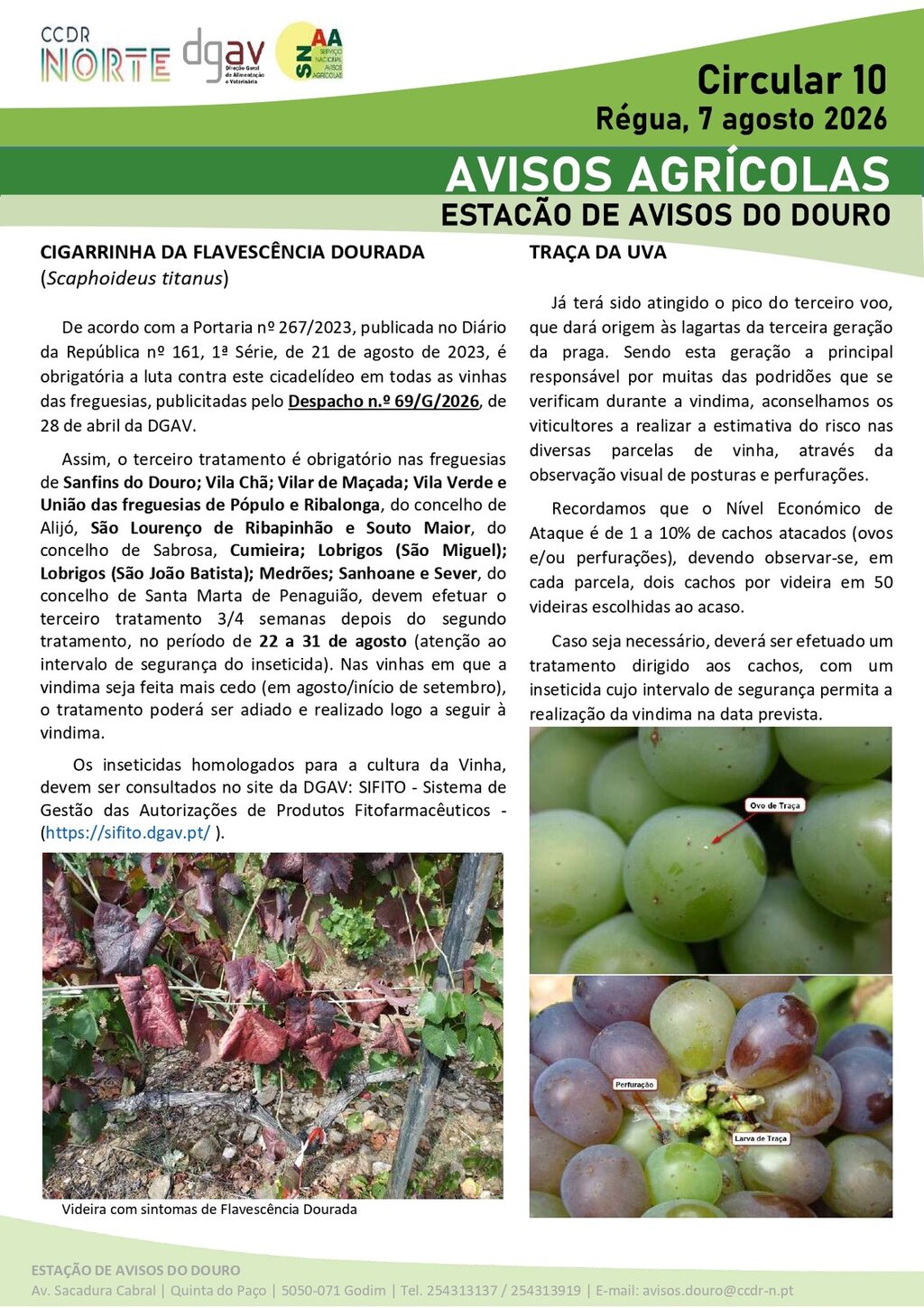 Circular EAD 10-26_page-0001