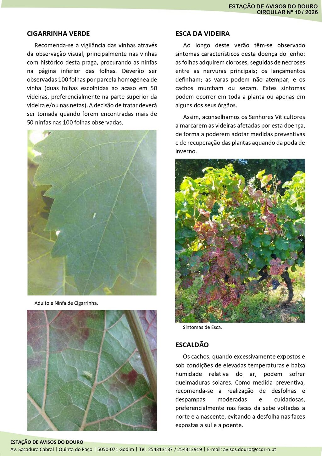 Circular EAD 10-26_page-0002